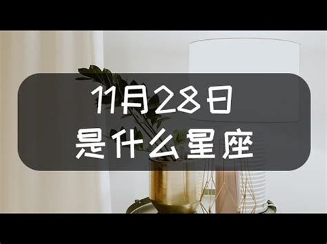 11月28是什麼星座